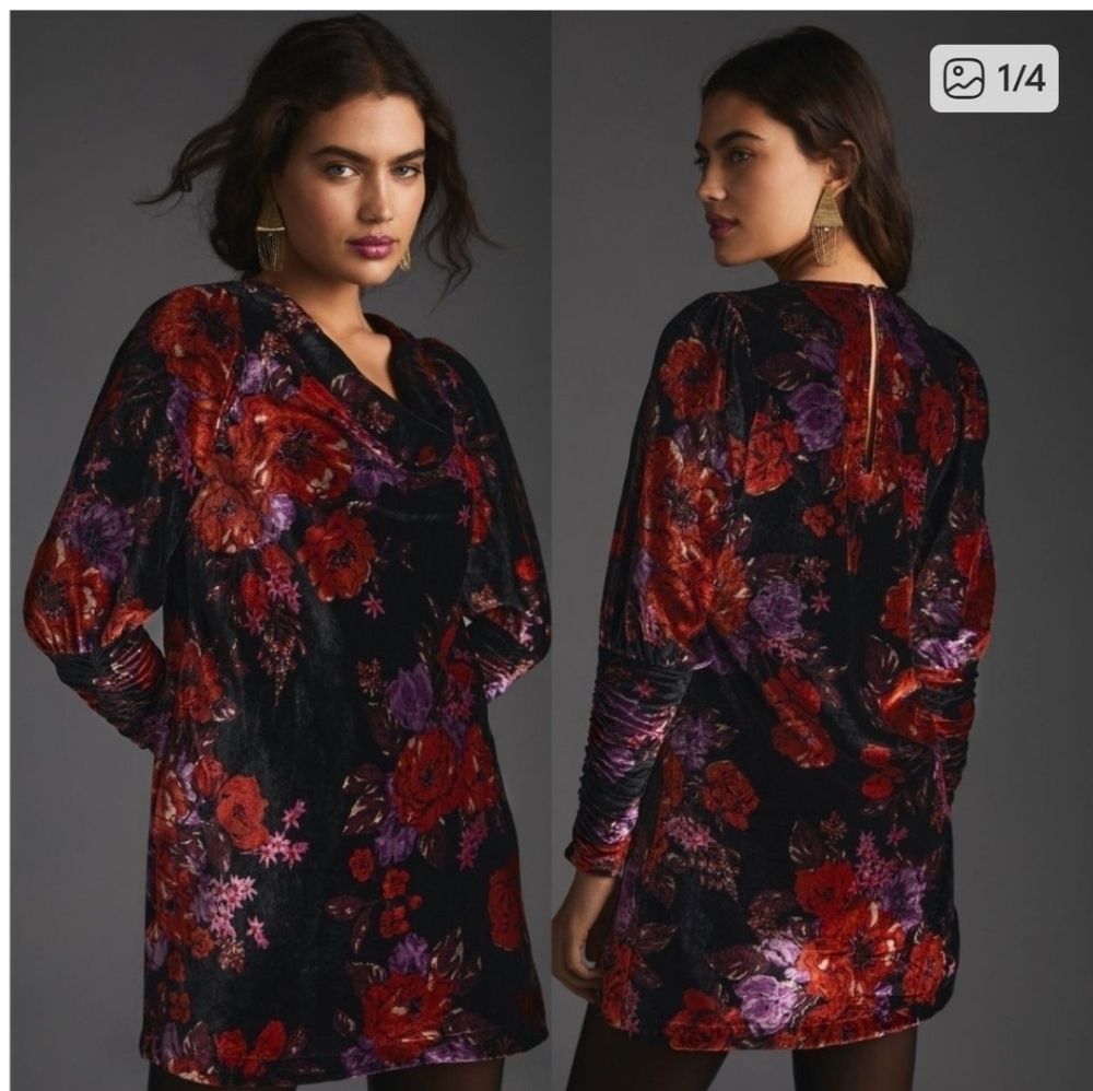 Anthropologie Black and Red Floral Velvet Dress